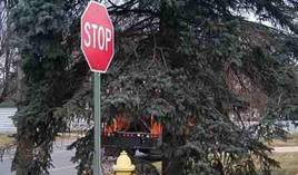 Tree branches obstructing vision at traffic control sign