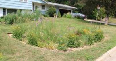Raingarden