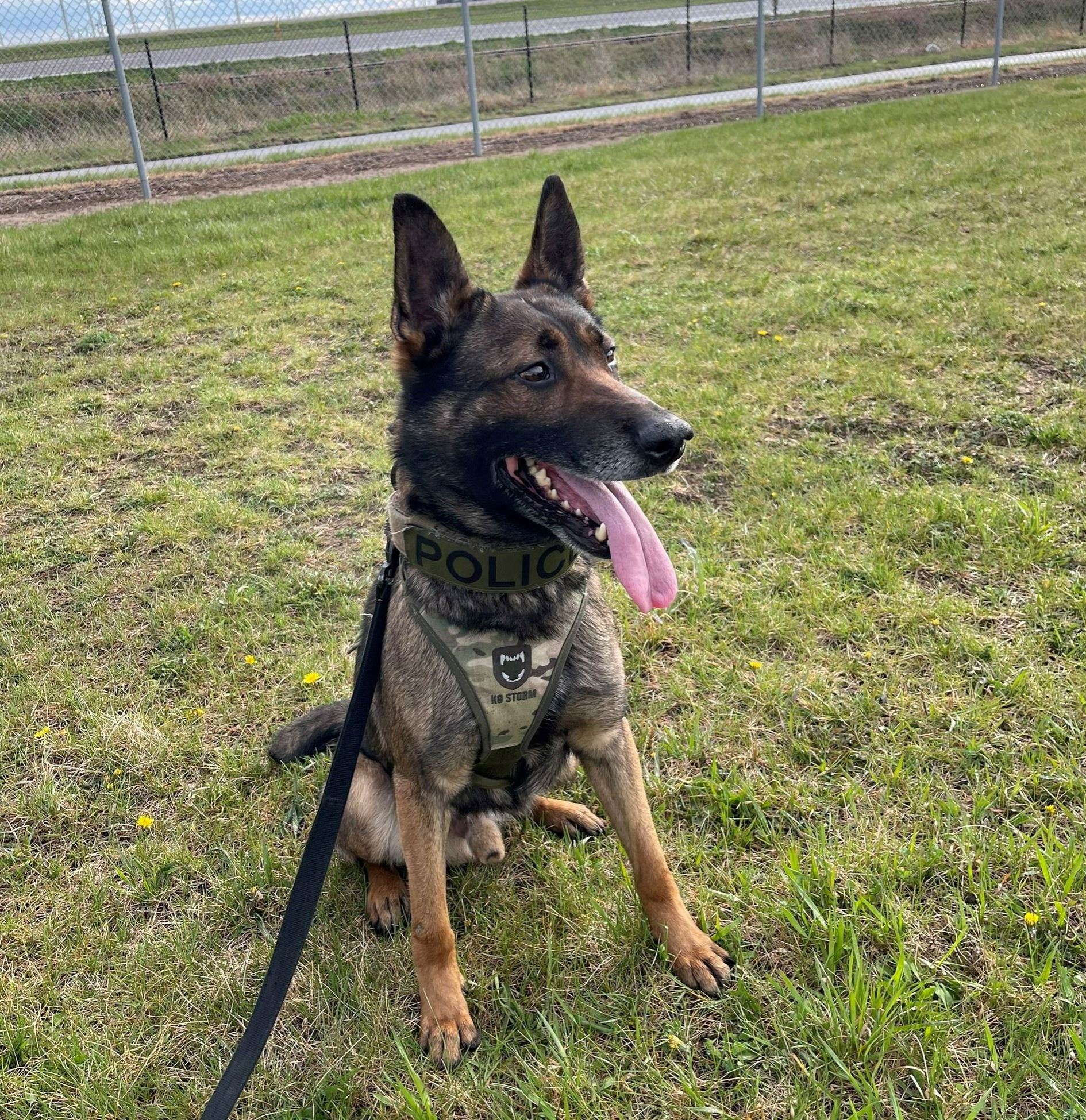 Photo Apr 23 2024, 18 38 44