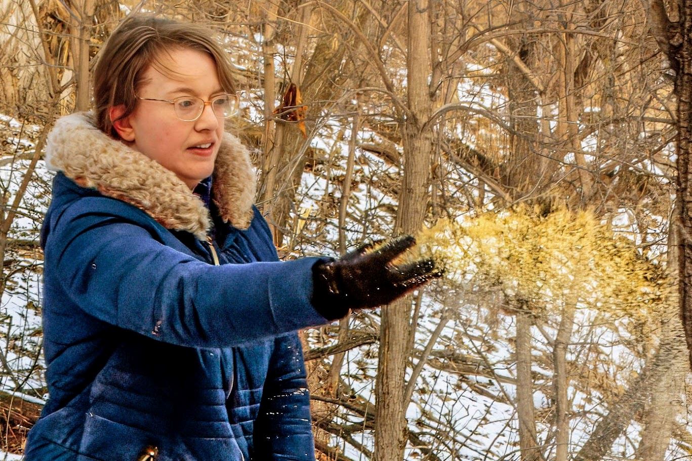 winter seeding by volunteers